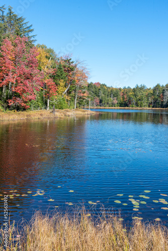 Lake and fall colors