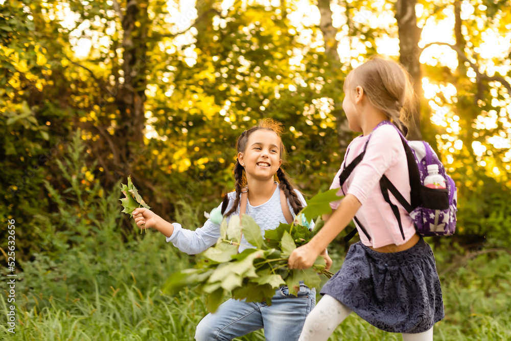 Fototapeta premium Schoolgirls picking autumn leaves for drying. School project making herbarium from dried leaves. Girl prepared leaves for autumn craft. girls walking in autumn park.