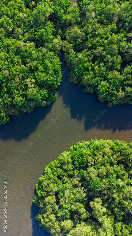 Tamandaré Carneiros Pernambuco Praia Litoral Paraíso Tropical Pernambucano Paradisíaco Coqueiro Mar Areia Ilha Céu Oceano Paisagem Drone Brasil Viagem Turismo Férias Verão Tamandaré Carneiros Pernambuco Praia Litoral Paraíso Tropical Pernambucano Paradisíaco Coqueiro Mar Areia Ilha Céu Oceano Paisagem Drone Brasil Viagem Turismo Férias Verão