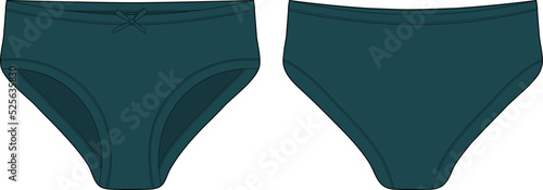 Technical sketch of briefs for girls. Female underpants. Dark green color. Women casual panties.