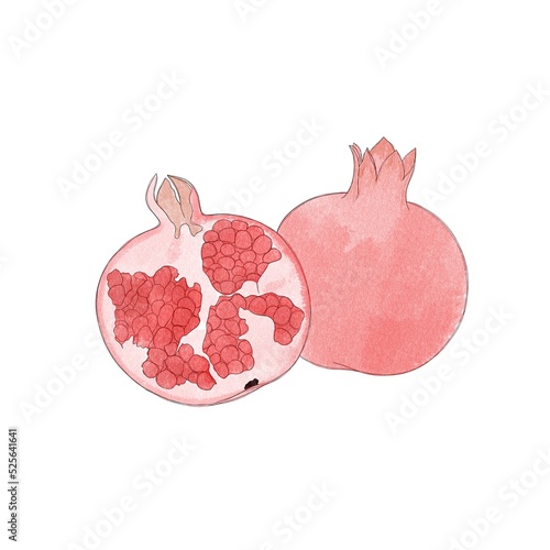 Juicy ripe pomegranate - hand drawn watercolor illustration