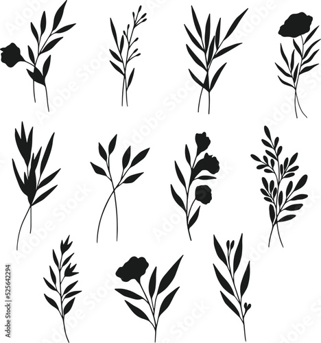 Fototapeta Naklejka Na Ścianę i Meble -  Collection of Cute Hand drawn Flower isolated flat vector Silhouettes