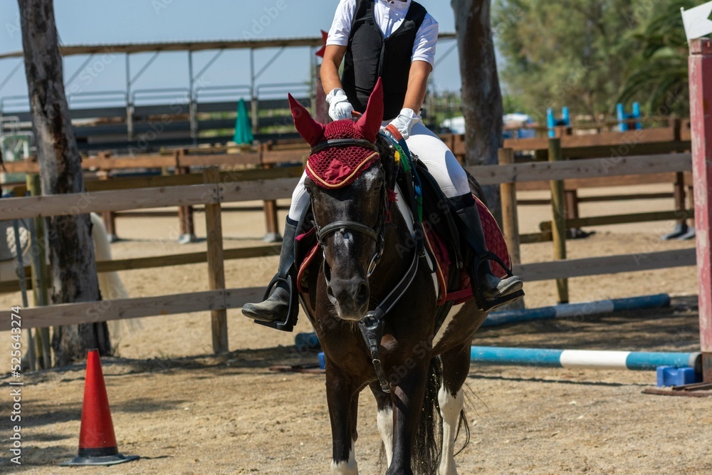 Little girl that rides a brown pony during Pony Game competition at the Equestrian School Little girl that rides a brown pony during Pony Game competition at the Equestrian School