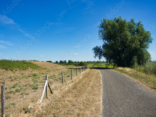 Dünenlandschaft in Südholland