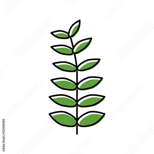 walnut leaf color icon vector illustration