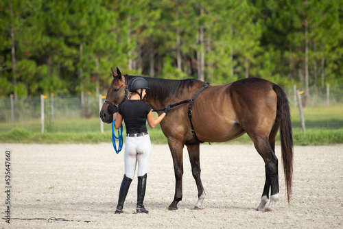 An equestrian works with a horse wearing a surcingle. 