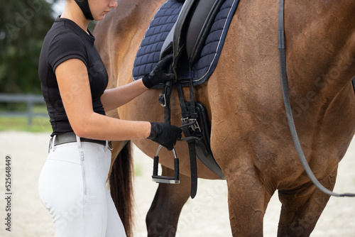 Woman tightening dressage cinch on a horse.