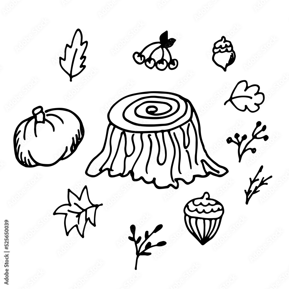 Vector hand drawn autumn icon set: stump, acorn, leaves Vector hand drawn autumn icon set: stump, acorn, leaves