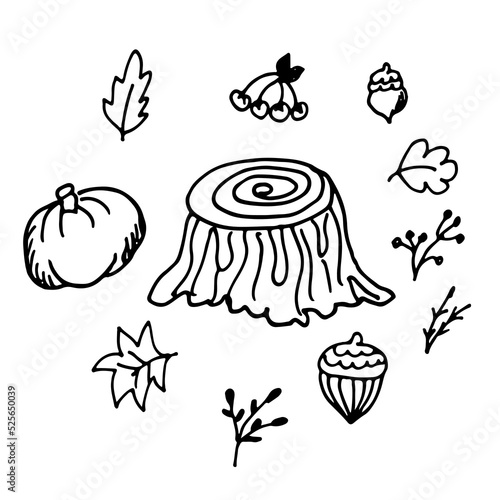 Vector hand drawn autumn icon set: stump, acorn, leaves