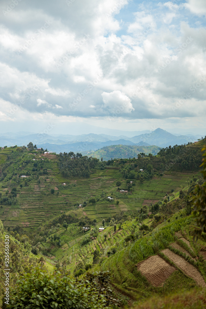 Beautiful landscape in southwestern Uganda, at the National Park, Rwanda. Copy Space. Travel
