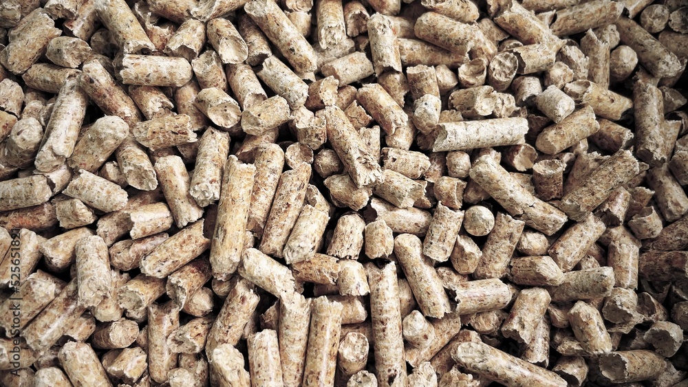 Wooden sawdust pellets. Cat litter filler or organic fuel. Moist hardwood pellets for mushroom cultivation substrate. 4k 60 fps background Wooden sawdust pellets. Cat litter filler or organic fuel. Moist hardwood pellets for mushroom cultivation substrate. 4k 60 fps background