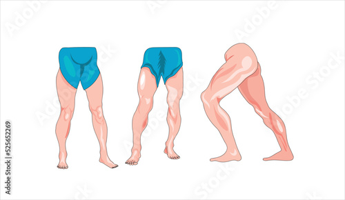 Set of men legs vector illustration on white background