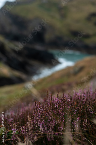 tintagel cornwall england view landscape bay sea ocean cave cliffs