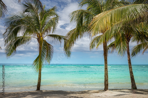 Tropical paradise: caribbean beach with palm trees, Montego Bay, Jamaica