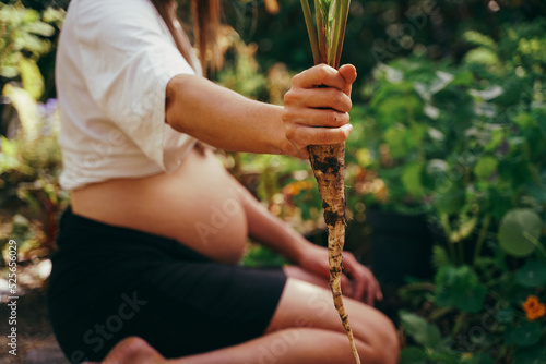 Pregnant woman in the garden, harvesting a parsnip