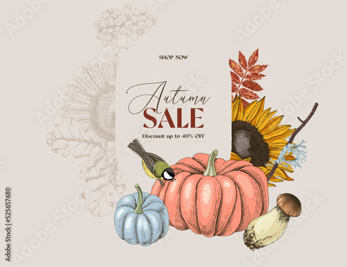 Autumn discounts, banner, sale poster.