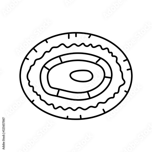 Принти на полотні limpet sea shell beach line icon vector illustration