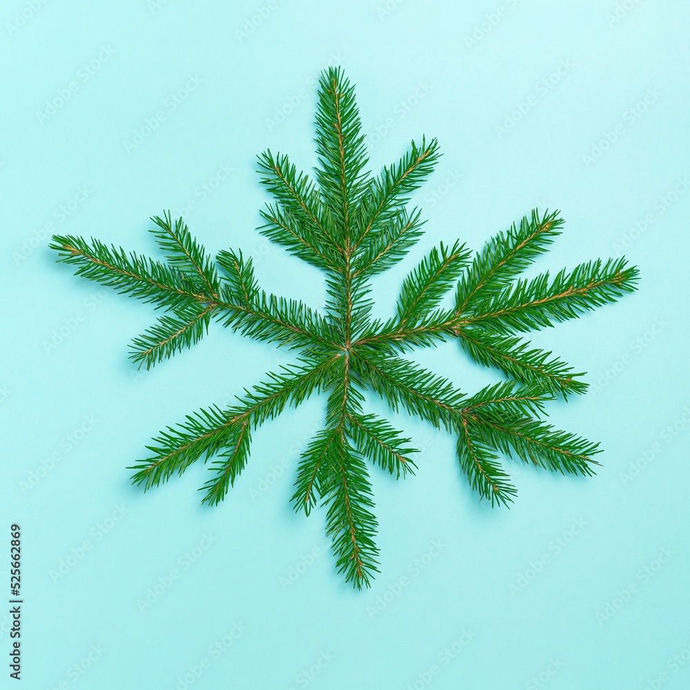 Obraz premium Snowflake from the branches of the Christmas tree. Winter concept.