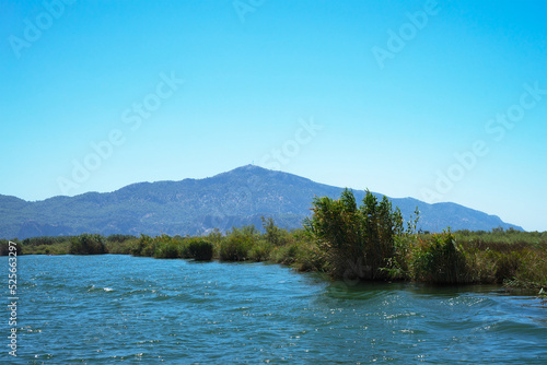 Rocks, reeds, bushes and trees on banks of the Dalyan River, Turkey on a sunny clear summer day. The concept of water travel and the Mediterranean climate. River or water landscape