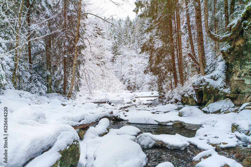 Winter landscape - view of the river in the winter forest in the Carpathian mountains after snowfall Winter landscape - view of the river in the winter forest in the Carpathian mountains after snowfall