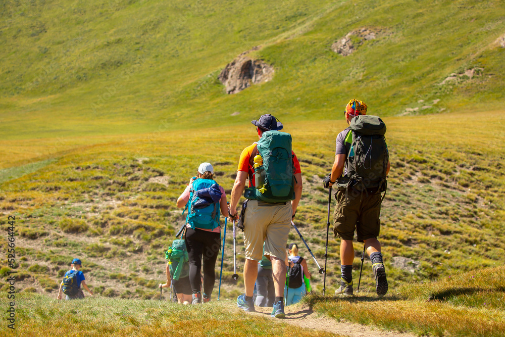 Tourists go hiking in the mountains. A tourist team with trekking poles and backpacks set out on a journey through the mountains. Team of climbers.