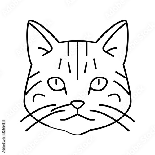 american shorthair cat cute pet line icon vector illustration