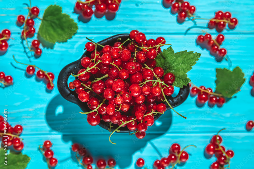 red currants in a bowl on a blue wooden background. berries, summer, vitamins, healthy natural food. selective focus red currants in a bowl on a blue wooden background. berries, summer, vitamins, healthy natural food. selective focus