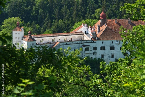 High-angle shot of Castle Herberstein surrounded by trees in Styria, Austria photo