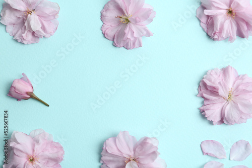 Frame made with beautiful sakura blossom on light blue background  space for text. Japanese cherry