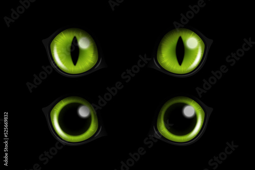 Vector 3d Realistic Green Round Glowing Cats Eyes of a Black Cat Set. Cat Look in the Dark Black Background Closeup. Glowing Cat or Panther Eyes