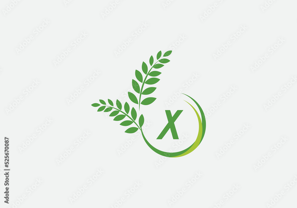 Green leaf and laurel wreath logo design vector with the letter and alphabet X Green leaf and laurel wreath logo design vector with the letter and alphabet X