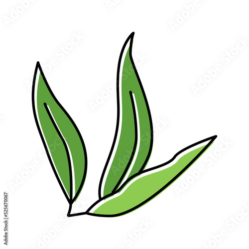 leaf plant mango color icon vector illustration