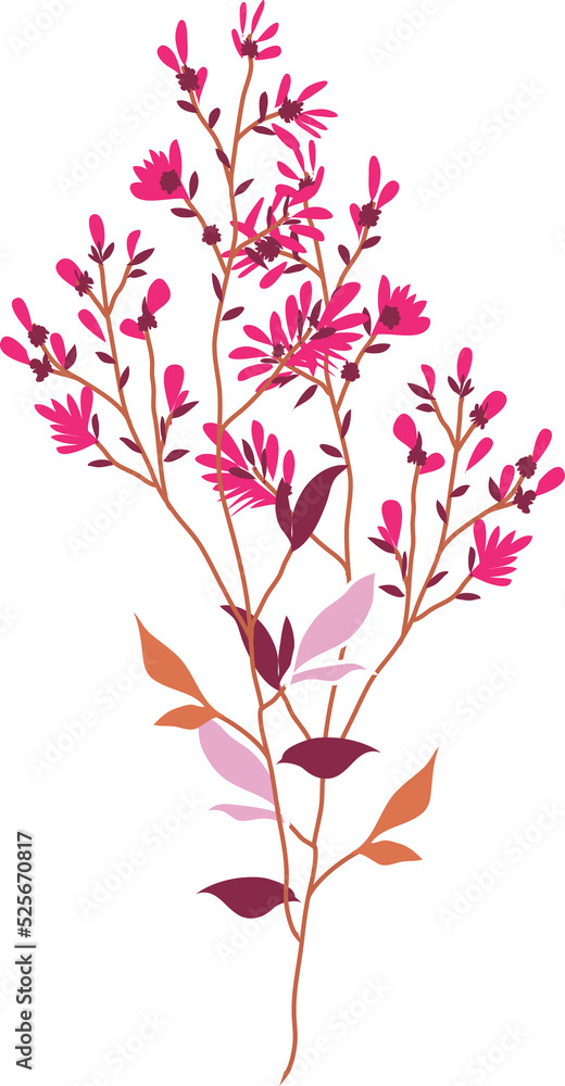 Hand drawn Botanical meadow flower and leaves illustrations Hand drawn Botanical meadow flower and leaves illustrations