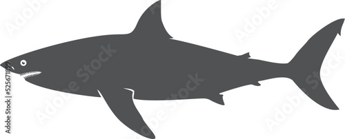 Shark black silhouette. Dangerous ocean predator icon