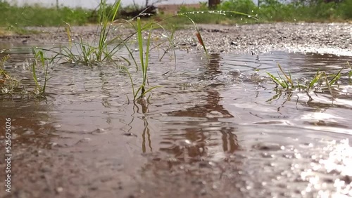 Rain Droplets Falling on Puddle with Grass and Pebbles Overcast Sky