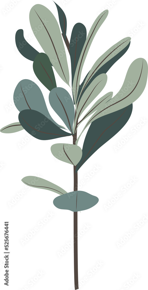 Fototapeta premium Hand drawn Botanical meadow flower and leaves illustrations