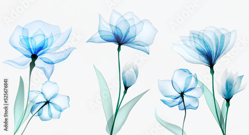 Luxury art background with transparent blue flowers in watercolor transparent style. Hand drawn botanical floral banner for wallpaper design, mural, print, decor, packaging.