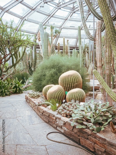 path through the green house photo