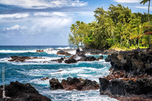 End of the Road to Hana - Maui Hawaii