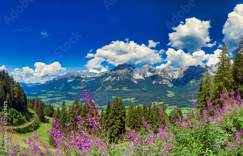 Wilder Kaiser Kino