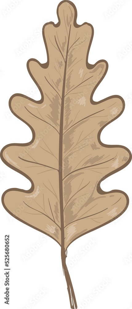 Fototapeta premium Hand drawn Autumn and Fall flower and leaves illustrations element