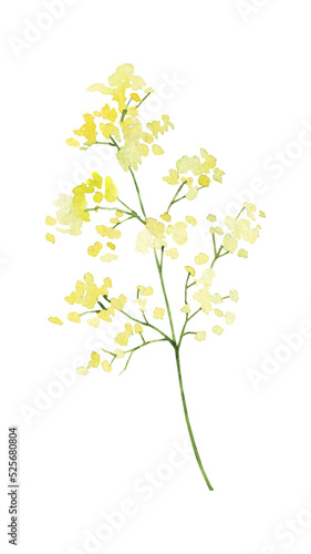 Watercolor hand painted botanical spring leaves and branches illustration isolated on white background.