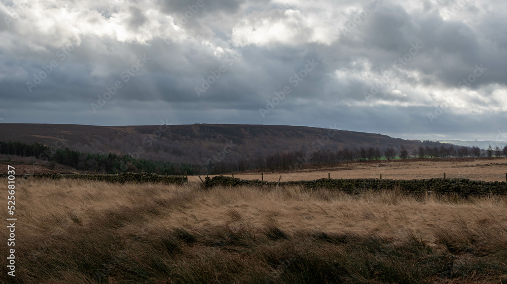 Grass and shadows in the Peak District