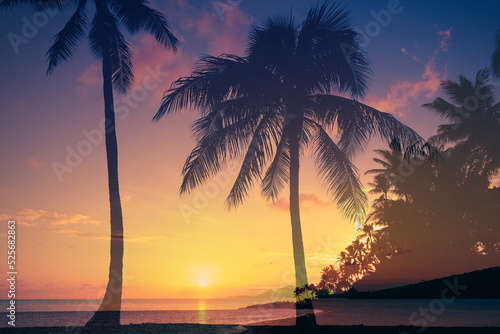 Beautiful tropical sunset beach and palm trees. Double exposure. 