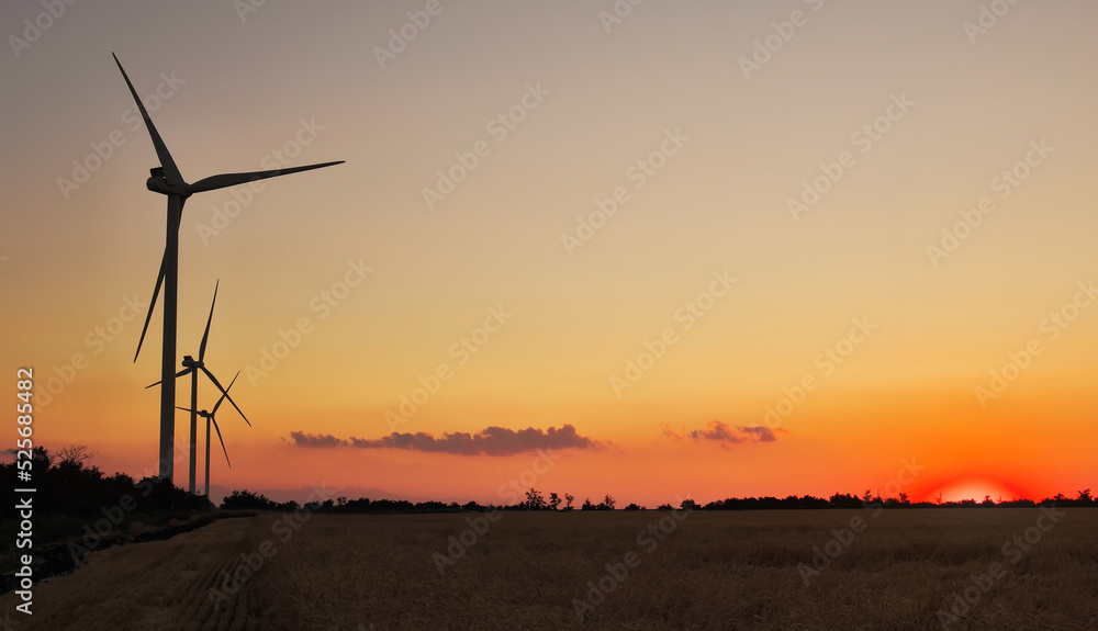 Obraz premium Wind turbines and agricultural field on a summer day. Energy production, clean and renewable energy.