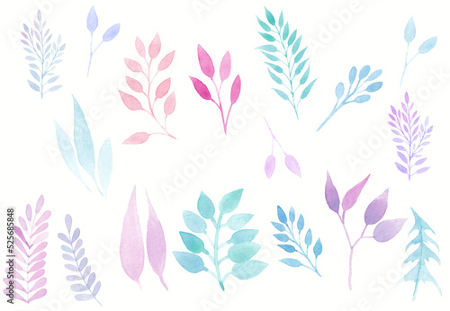Set of leaves and plants, handrawn watercolor illustration, isolated.
