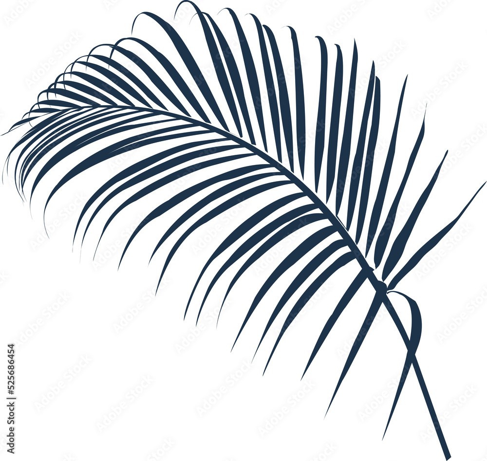 Fototapeta premium Hand drawn Tropical leaves illustrations element PNG file