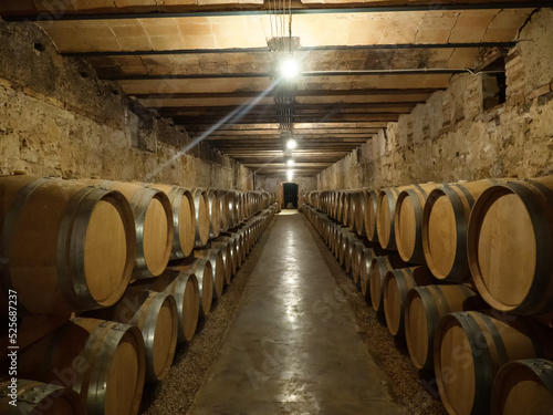 Wine boots in a Spanish winery