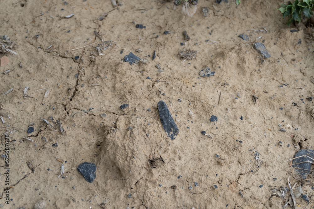 dried soil with pebbles, cracks and twigs dried soil with pebbles, cracks and twigs