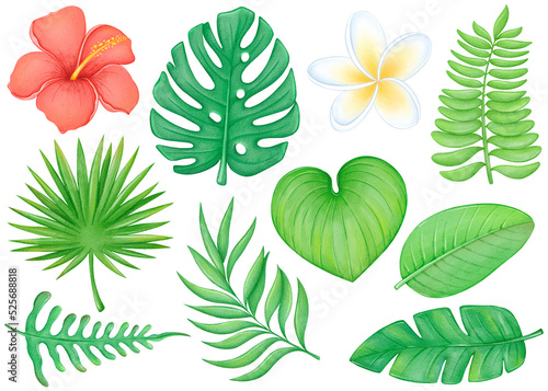 Watercolor tropical leaves and flowers